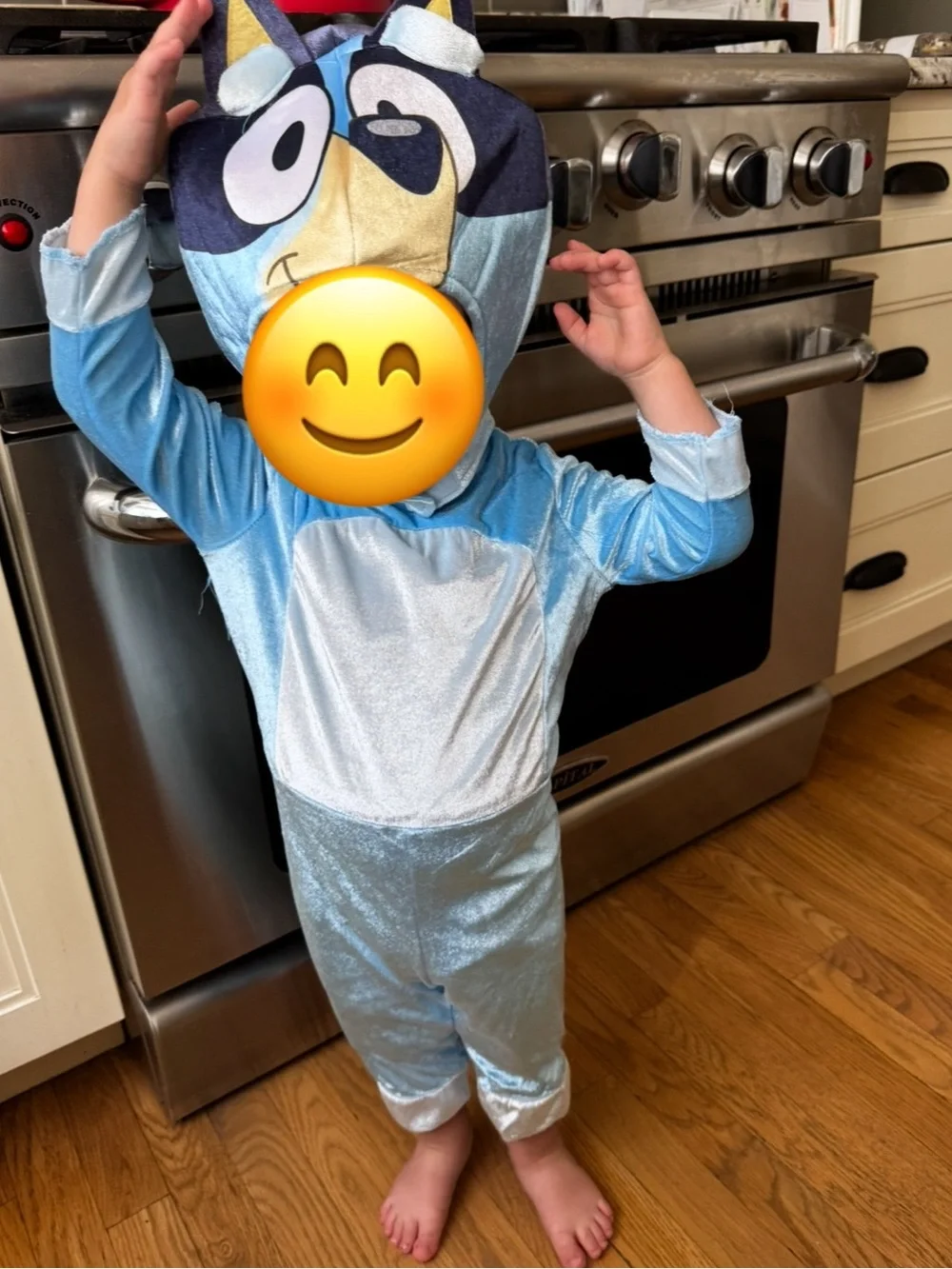 BLUEY Costume! Boys & Girls Unisex Halloween Costume 2T (fits like 18 mo.) EUC